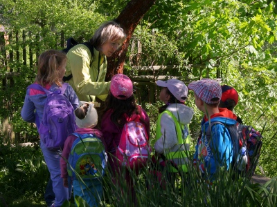 dti z M Libice nad Doubravou