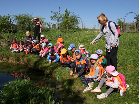 dti z M Libice n. D.