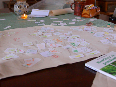 Pprava na novou seznu