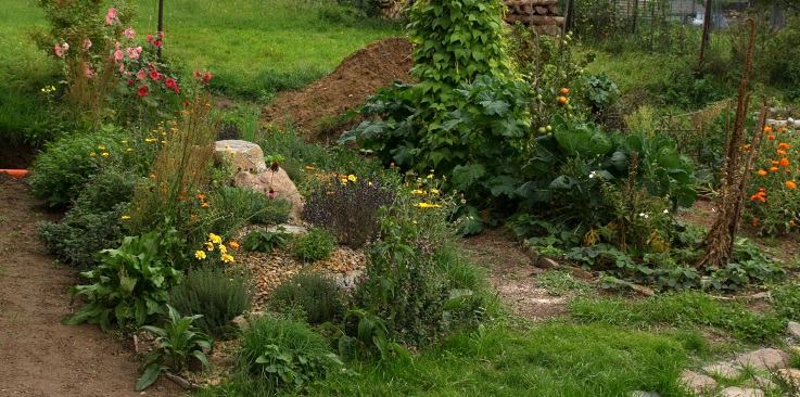 ilustrativní foto - Horní Krupá