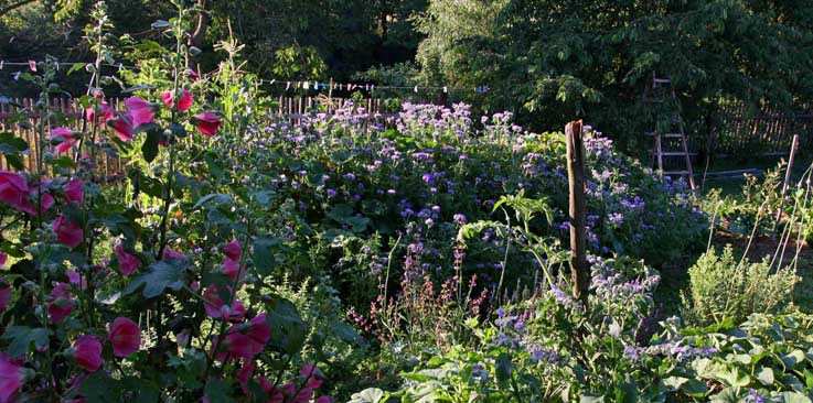 ilustrativní foto - vysoký záhon