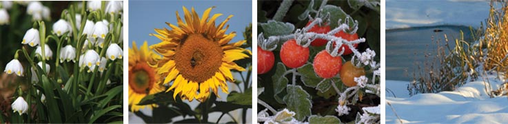 ilustrativní foto - ročních období