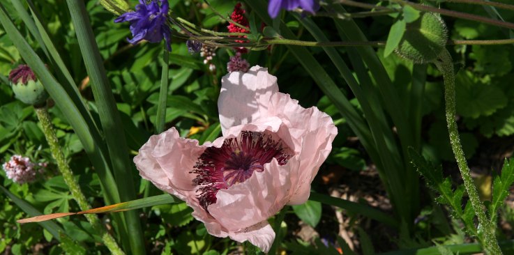 ilustrativní foto - ročních období